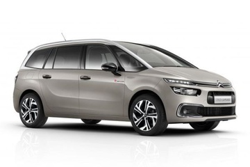 GRAND PICASSO 2013 -