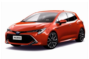 AURIS 2019-